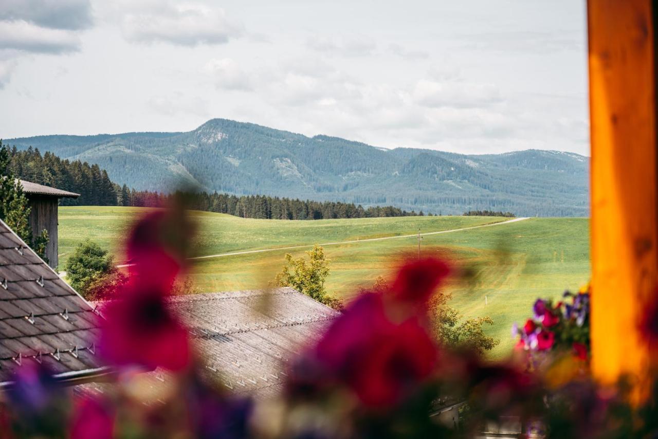 Wander- Und Wellnesshotel Kanzler Bad Mitterndorf Esterno foto